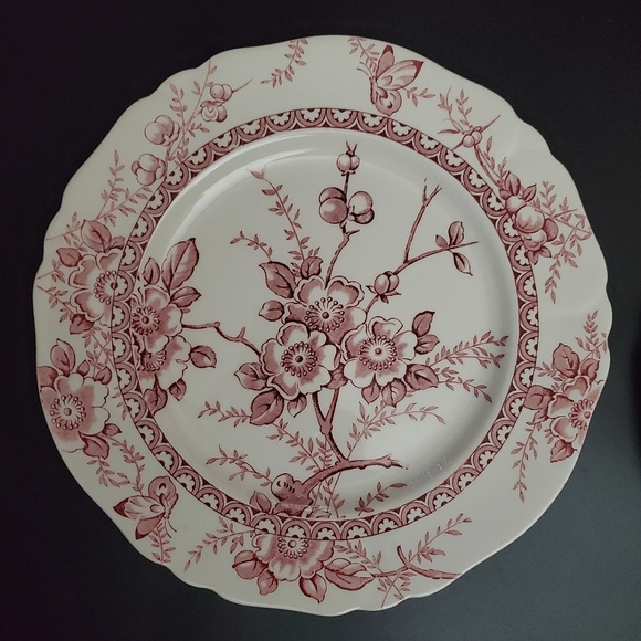 Vntg (2) 10" Pink Red on White "Medway" Decor Alfred Meakin 🇬🇧 England - Picture 3 of 6